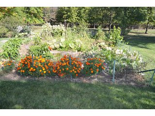 Property photo 39 - 80 +/- Acres Offered in 6 Tracts - Spectacular Farm & Home